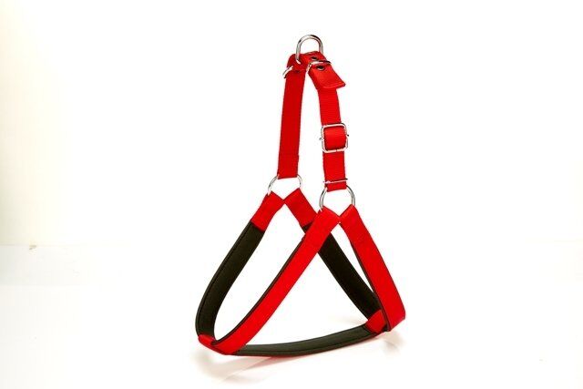 Doggie Köpek Göğüs Tasması 80 cm X Large Kırmızı