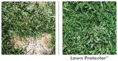 Lawn Protector Çim Koruyucu Su Topları- 2li paket