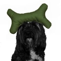Kemik Şekilli Köpek Oyuncağı 10-24 cm Yeşil