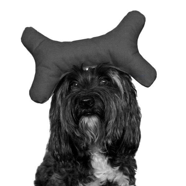 Kemik Şekilli Köpek Oyuncağı 10-24 cm Gri Renkte