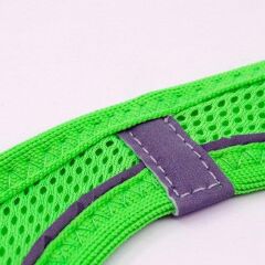 Tailpetz Air Mesh Köpek Göğüs Tasması Small 36x44 cm Neon Yeşil