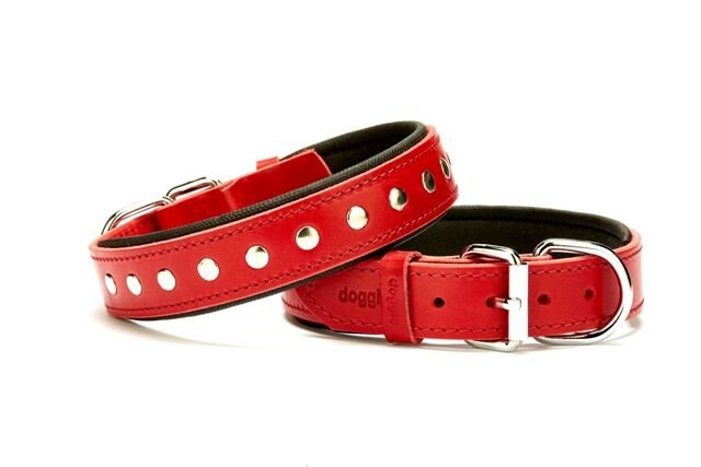 Doggie Deri Rivetli Köpek Tasması 3x42-50 cm Kırmızı