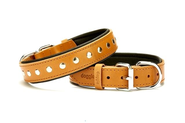 Doggie Deri Rivetli Köpek Tasması 3x42-50 cm Kamel