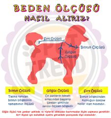 Tropic Küçük Köpek Papyonu 38 cm