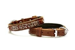 Doggie Deri İsimlikli Köpek Tasması 2x30-35 cm Kahverengi