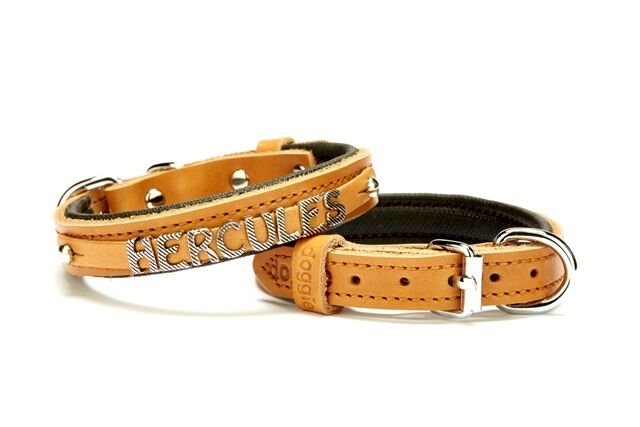 Doggie Deri İsimlikli Köpek Tasması 2x30-35 cm Kamel