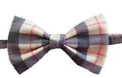 Burbery Küçük Köpek Papyonu 38 cm