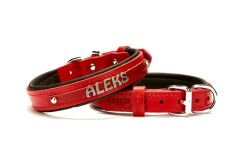 Doggie Deri İsimlikli Köpek Tasması 2x35-40 cm Kırmızı