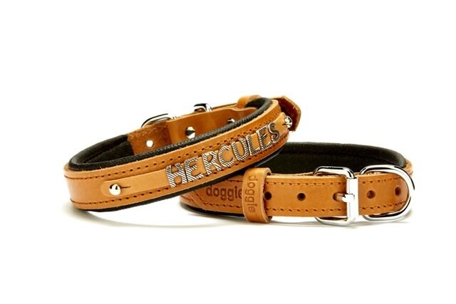 Doggie Deri İsimlikli Köpek Tasması 2x35-40 cm Kamel