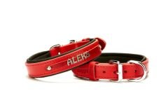 Doggie Deri İsimlikli Köpek Tasması 2,5x37-45 cm Kırmızı