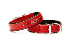 Doggie Deri İsimlikli Köpek Tasması 3x42-50 cm Kırmızı