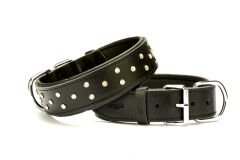 Doggie Kristal Taşlı Köpek Boyun Tasması 4 cm / 65 cm Siyah