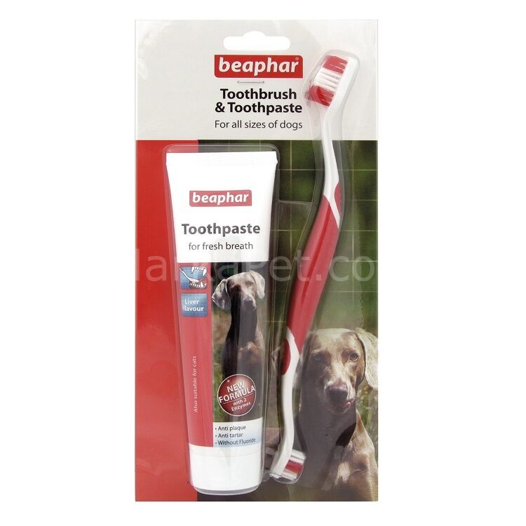 Beaphar Köpek Diş Macunu ve Diş Fırçası Seti 100 gr