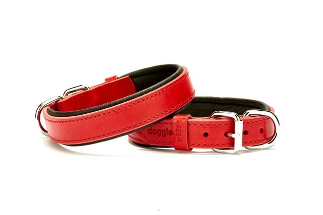 Doggie Deri Köpek Boyun Tasması 2,5 cm / 60 cm Kırmızı