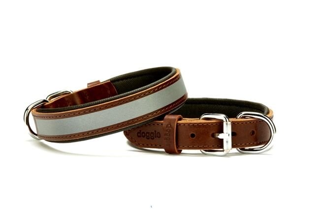 Doggie Deri Köpek Boyun Tasması 2,5 cm / 60 cm Kahverengi