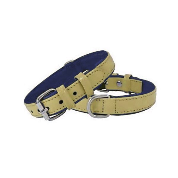 Doggie Deri Köpek Boyun Tasması 2,5 cm / 55 cm Sarı-Mavi