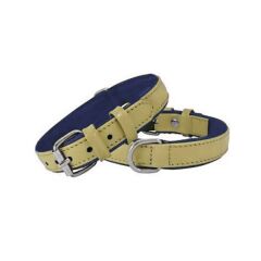 Doggie Deri Köpek Boyun Tasması 2,5 cm / 55 cm Sarı-Mavi