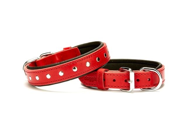 Doggie Rivetli Deri Köpek Boyun Tasması 2,5 cm / 50 cm Kırmızı