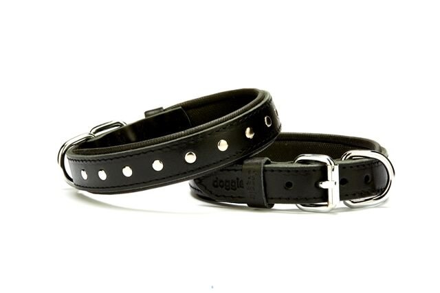 Doggie Rivetli Deri Köpek Boyun Tasması 2,5 cm / 50 cm Siyah