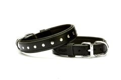 Doggie Rivetli Deri Köpek Boyun Tasması 2,5 cm / 50 cm Siyah