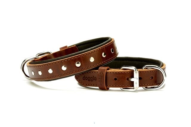 Doggie Rivetli Deri Köpek Boyun Tasması 2,5 cm / 50 cm Kahverengi
