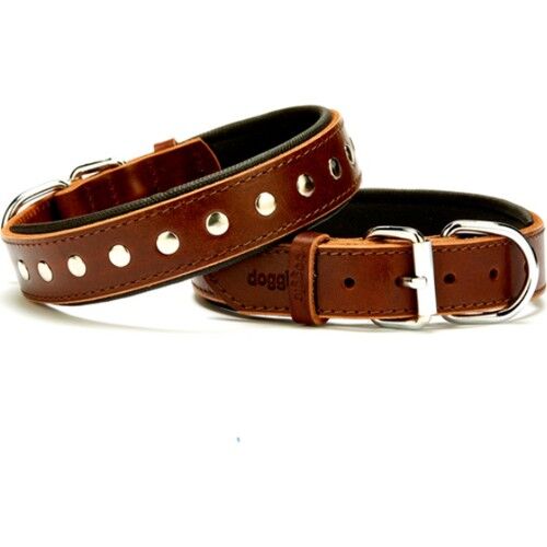 Doggie Comfort Rivetli Deri Boyun Tasması 3x55 cm Kahverengi