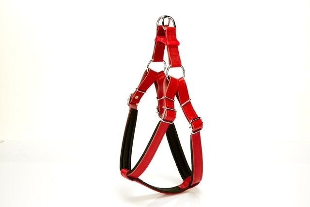 Doggie Ronin Model Comfort Deri Göğüs Tasması 40-45 CM