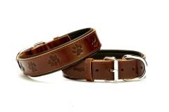 Doggie Pati Desenli Deri Köpek Boyun Tasması 3,5x47x55 cm Kahverengi