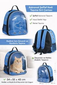KP Kalpli Patili Astronot Şeffaf Taşıma Sırt Çantası Mavi 24x32x42 cm