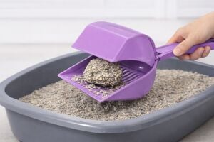 Kapaklı Kedi Kumu Küreği Elekli – Ergonomik Saplı Dayanıklı Plastik Kum Temizleme Küreği 26 cm