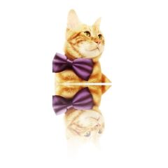 Kedi Köpek Papyonu Renkli Parlak Kumaş Mor 40*20 cm