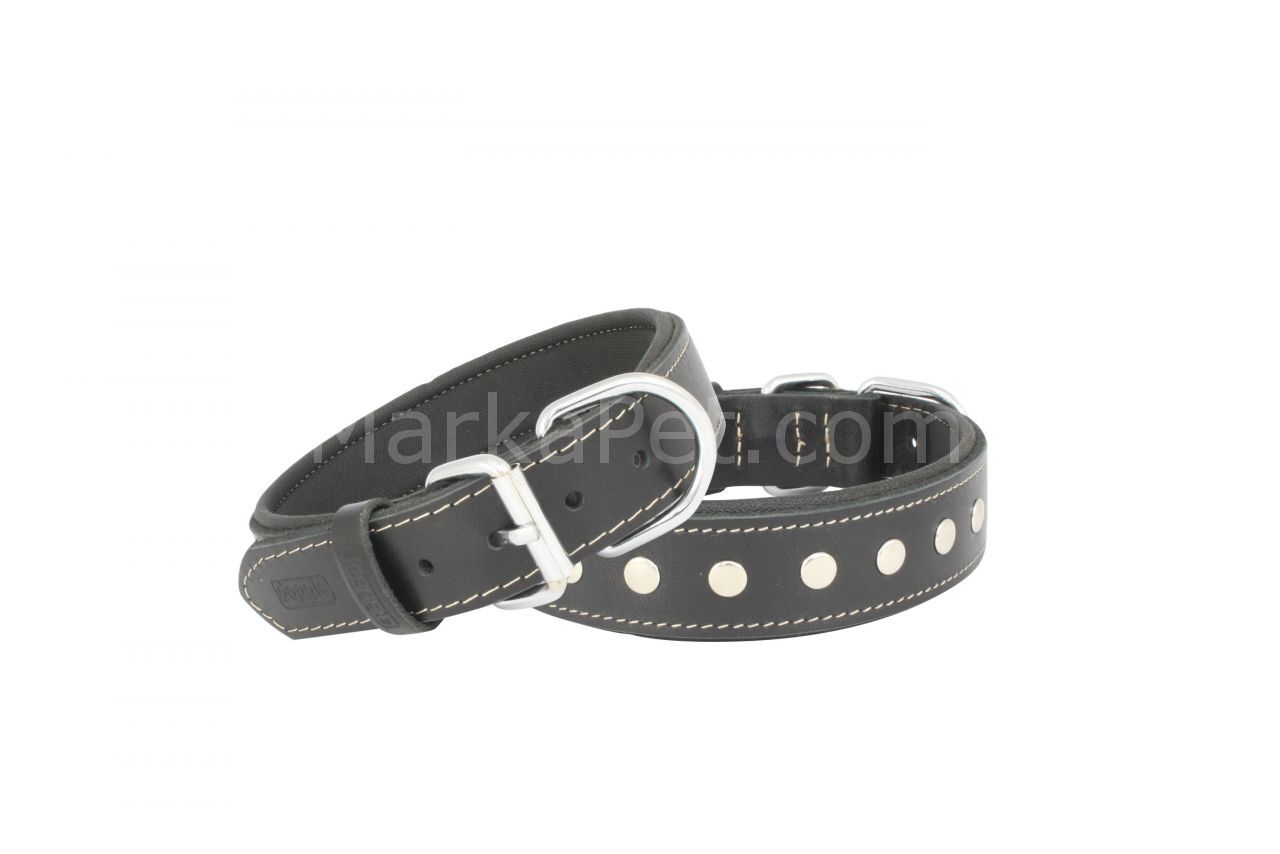 Doggie Rivetli Deri Köpek Boyun Tasması 2,5*50 cm Siyah