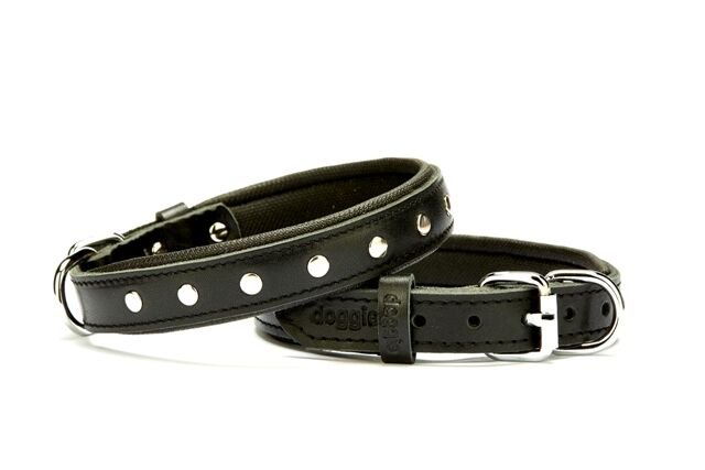 Doggie Rivetli Deri Köpek Boyun Tasması 2,5*50 cm Siyah