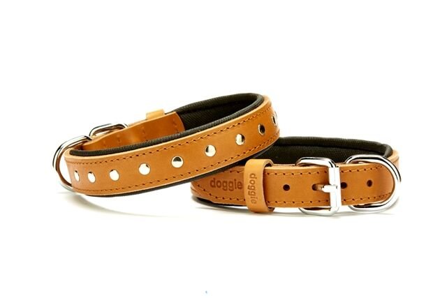 Doggie Rivetli Deri Köpek Boyun Tasması 2,5*50 cm Kamel