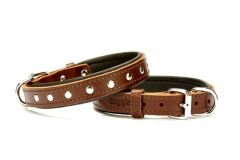Doggie Rivetli Deri Köpek Boyun Tasması 2,5*50 cm Kahverengi
