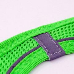 Tailpetz Air Mesh Köpek Göğüs Tasması Large 48x54 cm Neon Yeşil